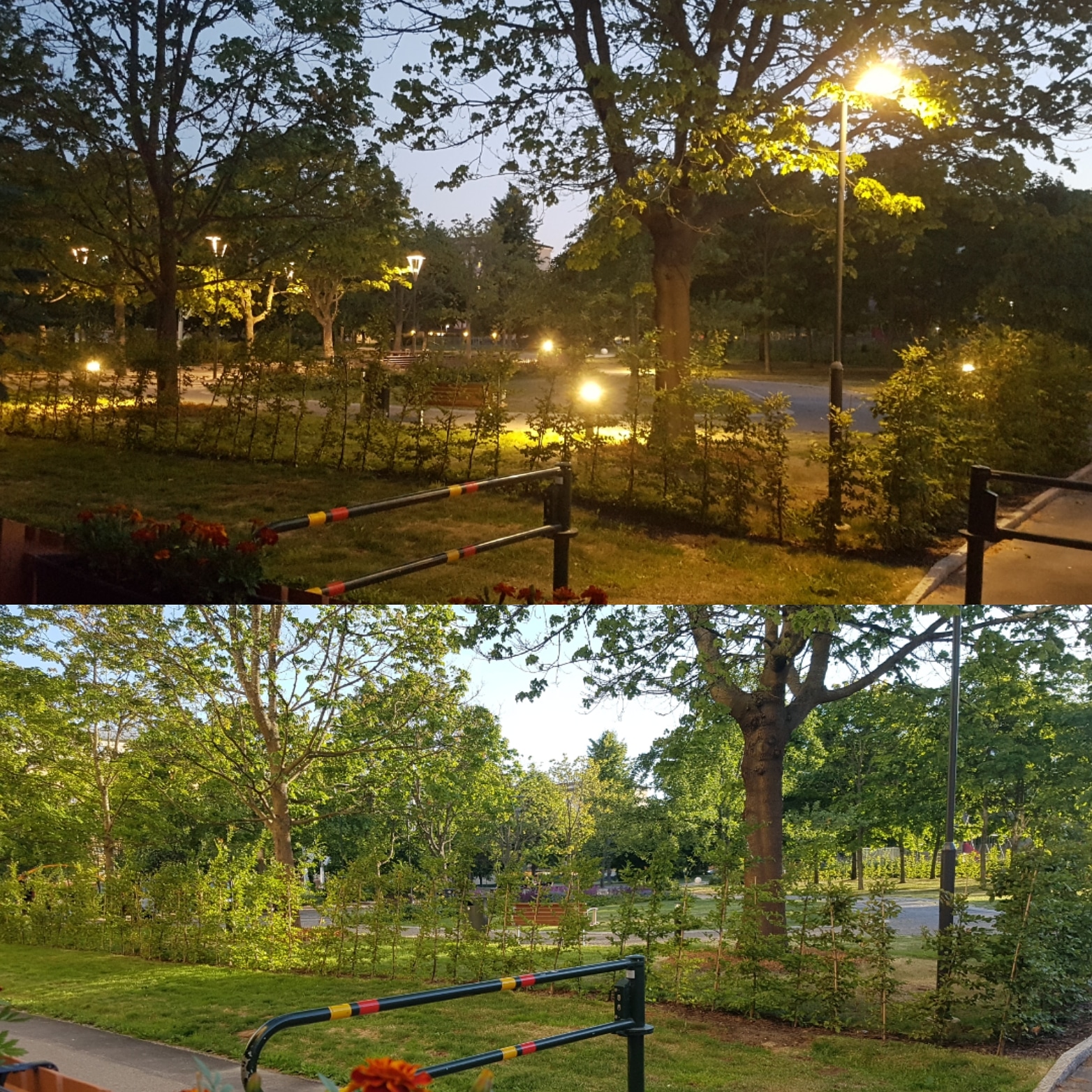 Blåklintsparken natt och dag